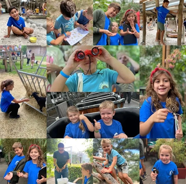 Augustus - Een maand vol plezier, avontuur en nieuwe herinneringen