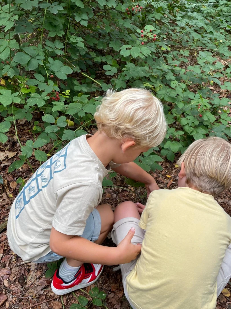 Maandblog augustus 2025