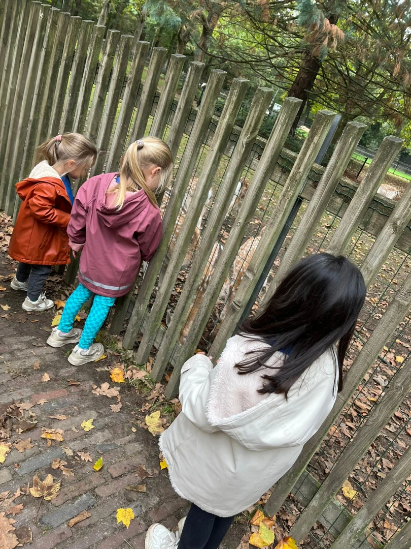 Uitstapjes, Halloween en sportactiviteiten