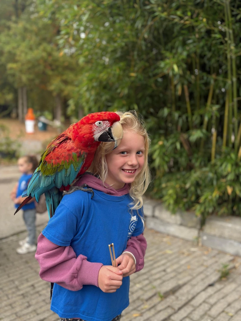 Maandblog oktober 2025