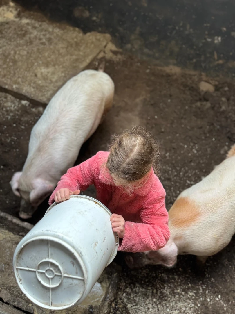 Maandblog december 2025