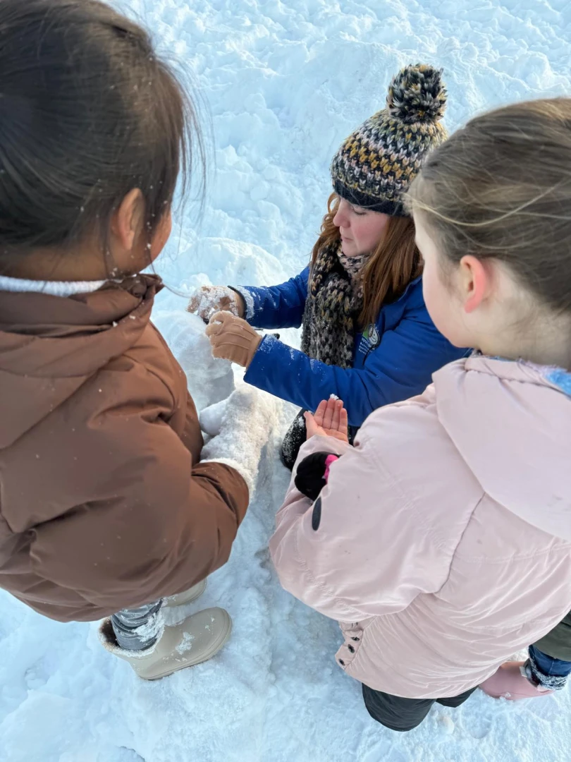 Maandblog januari 2026