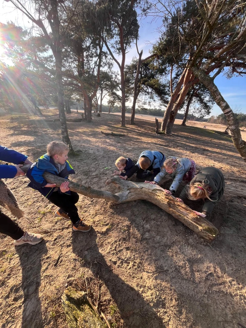 Maandblog Februari 2026