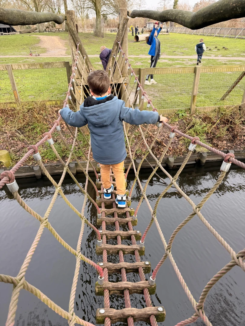 Februari bij Sportstuif Roosendaal: Buiten, Bewegen en Carnaval! 🎉☀️